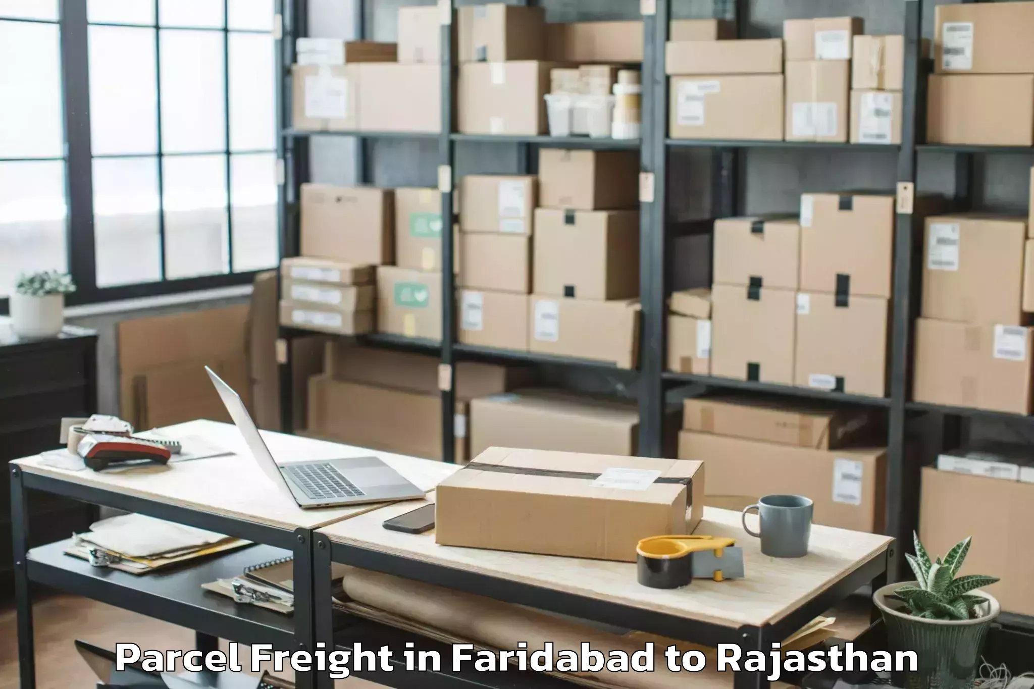 Discover Faridabad to Chhabra Parcel Freight